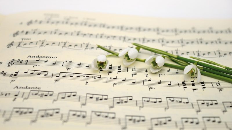 歌曲海使用场景推荐：不同情境下的歌单搭配建议